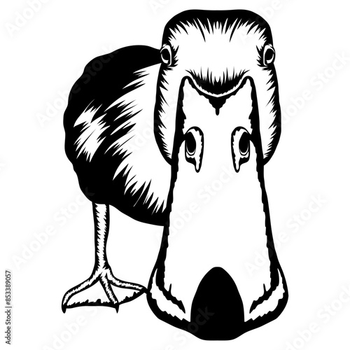 Duck Funny Duck Duck Hunting Duck