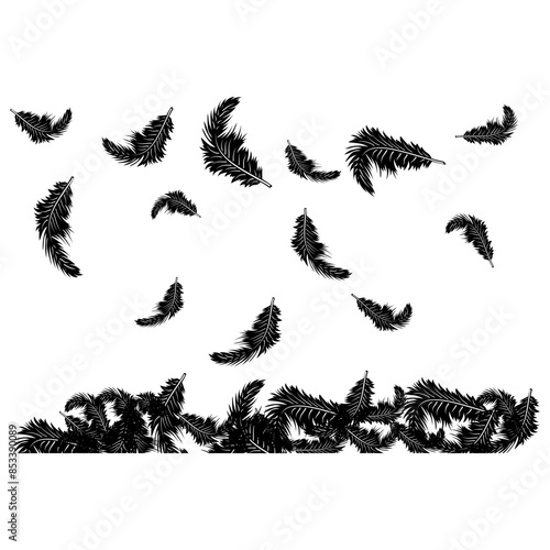 Feathers