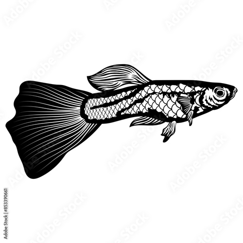 Fish Guppy Fish