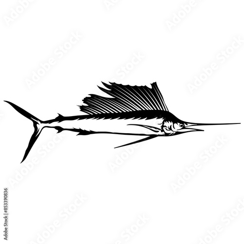 Fish Sailfish Style photo