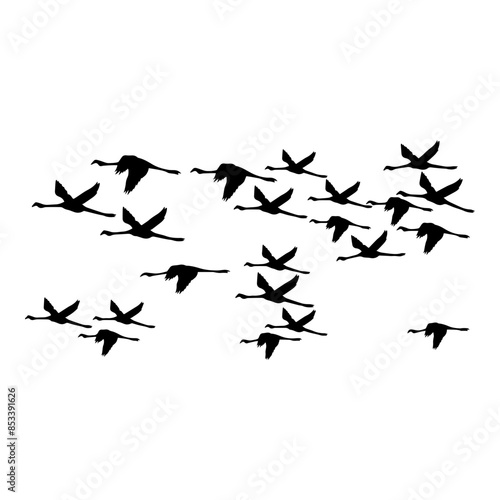 Flock of Cranes Silhouette