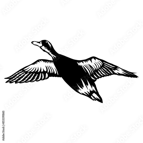 Flying Duck Duck  Duck Hunting Duck