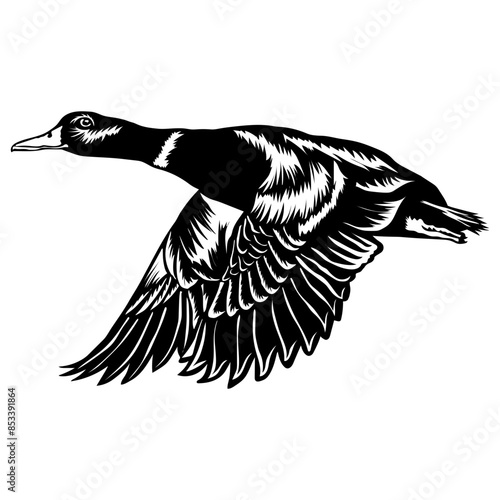 Flying Mallard Duck  Duck Duck Hunting Duck