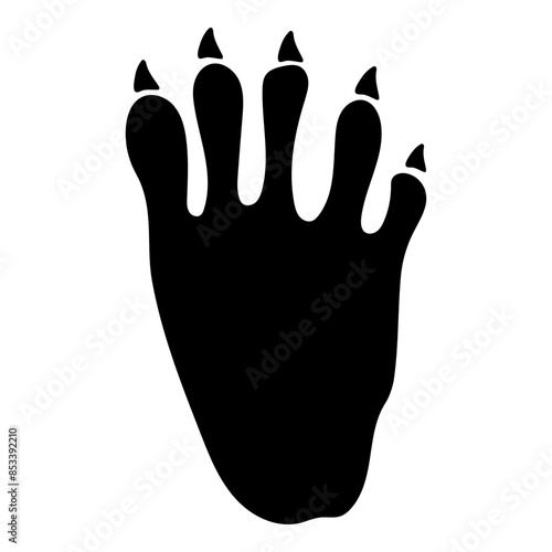 Footprint Raccoon Paw