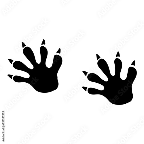 Footprint Raccoon Paws