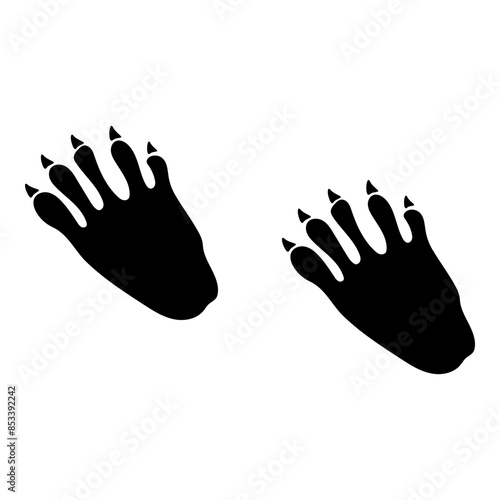 Footprint Raccoon Paws