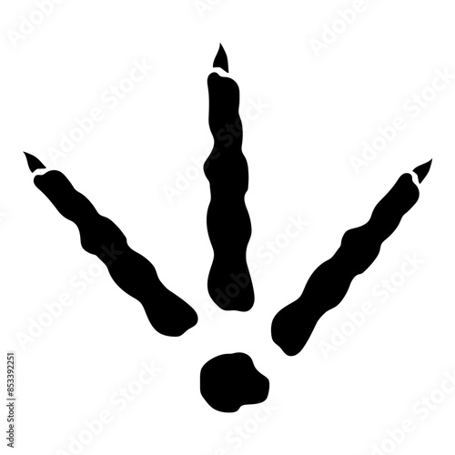 Footprint Wild Turkey