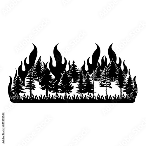 Forest Fire