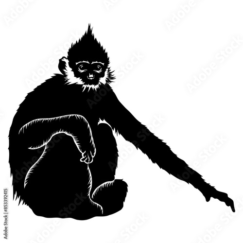 Francois Langur