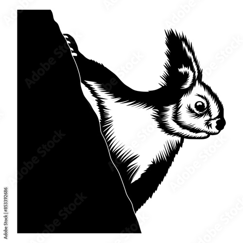 Funny Peeking Squirrel