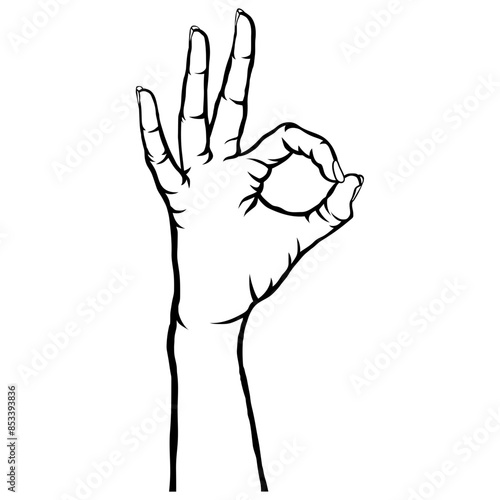 Hand Gesture OK Good Perfect