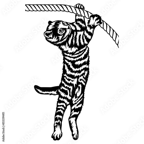 Hanging Cat Funny Cat Cat Cat