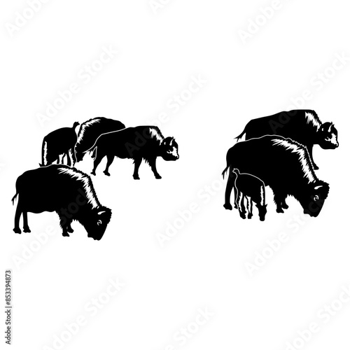 Herd Of Bison