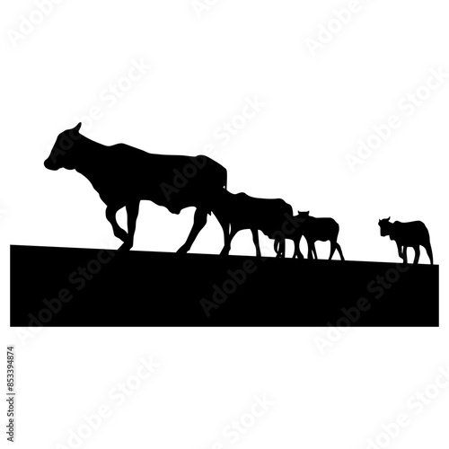 Herd Of Cattle  Cattle Rancher Cattle