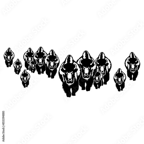 Herd Of Bison