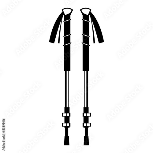 Hiking Sticks