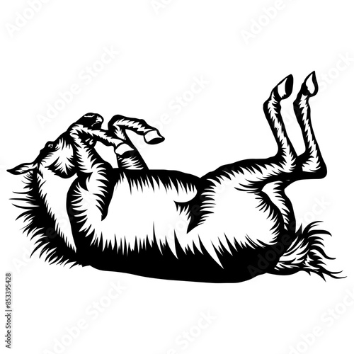 Horse Rolling On Floor