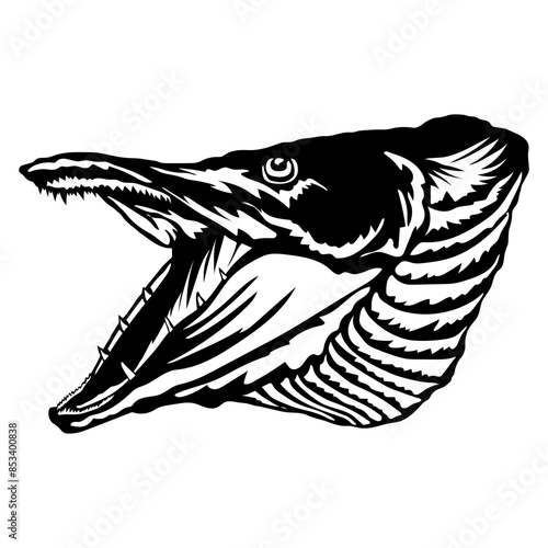 Northern Pike Head Northern Pike Fishing Northern Pike