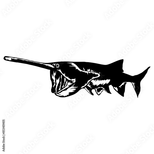 Paddlefish Fish Fishing Paddlefish
