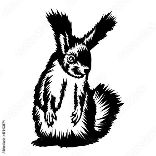 Pointy Ear Squirrel