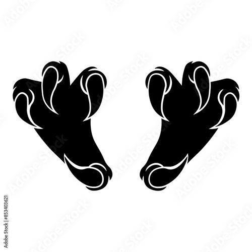 Raptor Claws  Claws Sharp Nails Claws