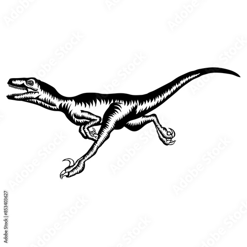 Raptor Running