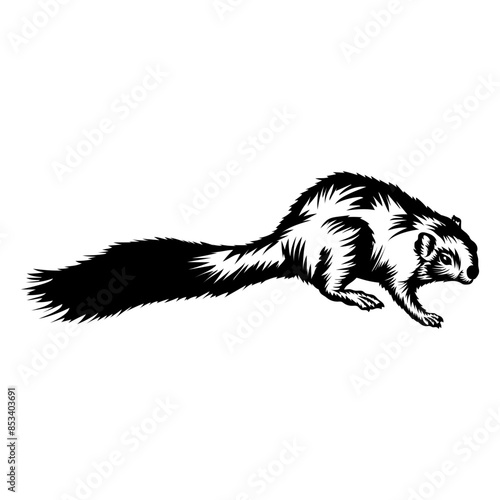 Red Bush Squirrel