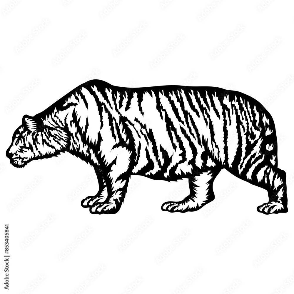 Obraz premium Siberian Tiger