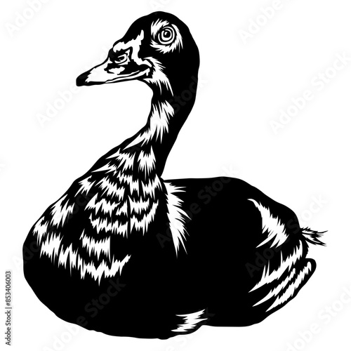 Sitting Duck Duck Duck Hunting Duck