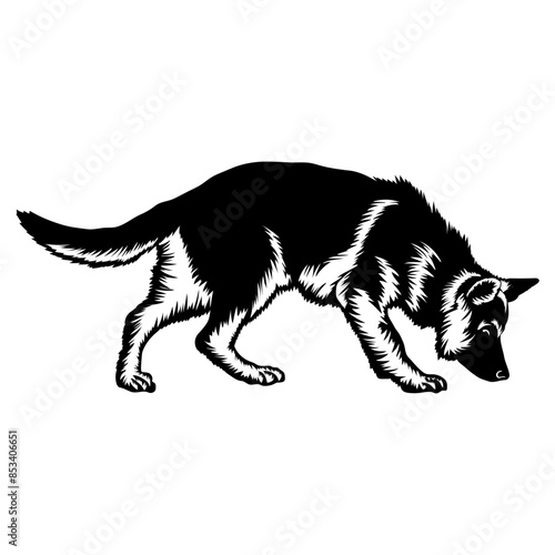 sniffing dog