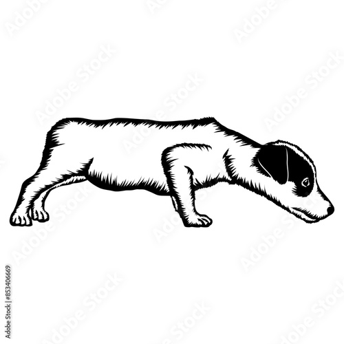 sniffing dog
