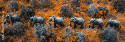 Herd of elephants in orange-tinted savannah - A herd of elephants moves through the surreal orange savannah landscape, showcasing an artistic and color-enhanced image that highlights the majesty photo