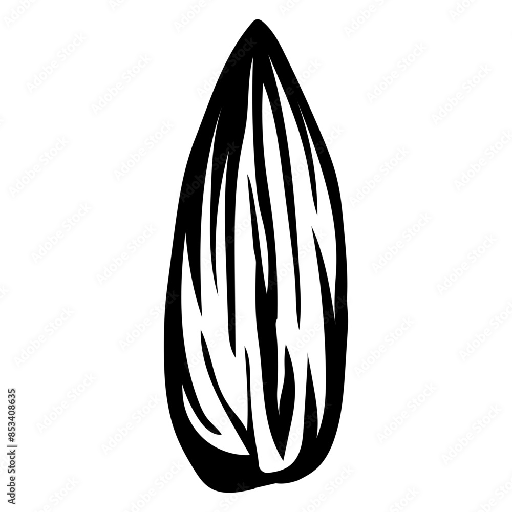 Sunflower Seed No Shell Sunflower Seed No Shell