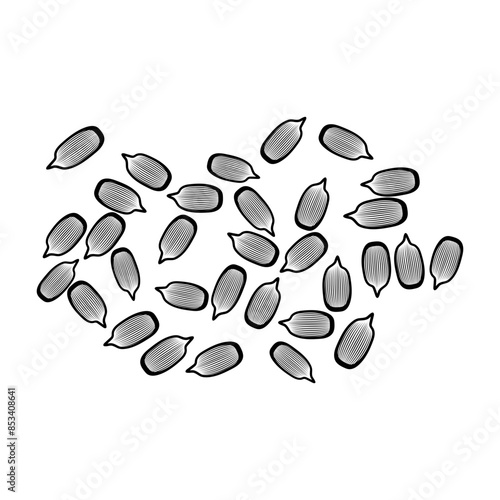 Sunflower Seeds