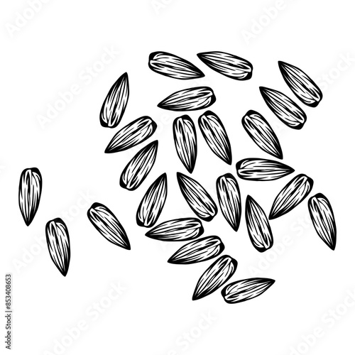 Sunflower Seeds