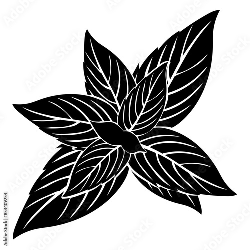 Tea Leaf Tea Green Tea Tea Leaf