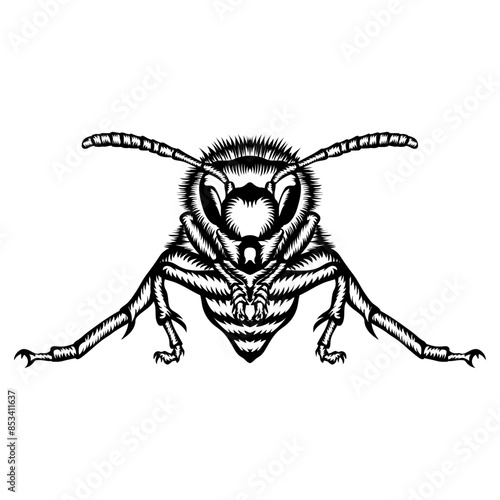 Wasp Front