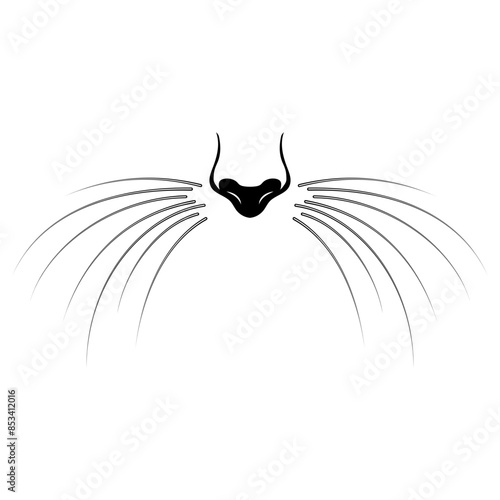 Whiskers