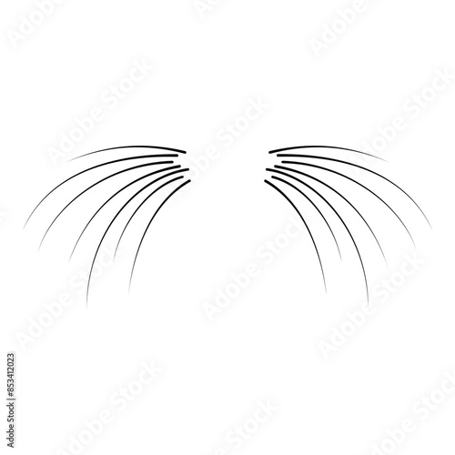 Whiskers