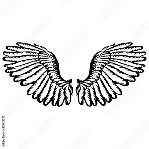 Wings Set