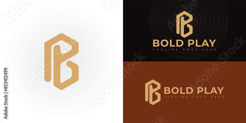 Abstract initial hexagon letters BP or PB logo in luxury gold color isolated on multiple background colors. The logo is suitable for art business company logo vector design illustration inspiration