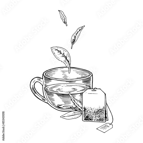 Tea Cup with leaves floating above it. Vector hand-drawn illustration. Glass mug with infuser bag sketch drawing. Black and white vintage art. With editable backgrounds. For cards and drink packaging