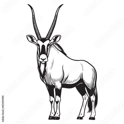 Line art of gemsbok vector illustration