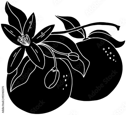 orange illustration jasmine silhouette tuberose logo flower icon citrus outline floral ayurveda bio summer seamless tree tangerine beach marigold shape sandalwood plant tonka for vector graphic