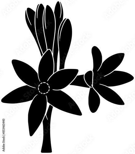orange illustration jasmine silhouette tuberose logo flower icon citrus outline floral ayurveda bio summer seamless tree tangerine beach marigold shape sandalwood plant tonka for vector graphic