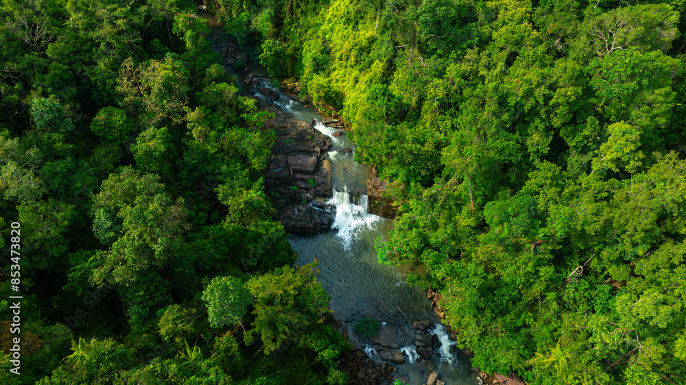 Aerial view of mixed forest, deciduous trees, greenery and waterfalls flowing through the forest. The rich natural ecosystem of rainforest concept is all about conservation and natural reforestation Aerial view of mixed forest, deciduous trees, greenery and waterfalls flowing through the forest. The rich natural ecosystem of rainforest concept is all about conservation and natural reforestation