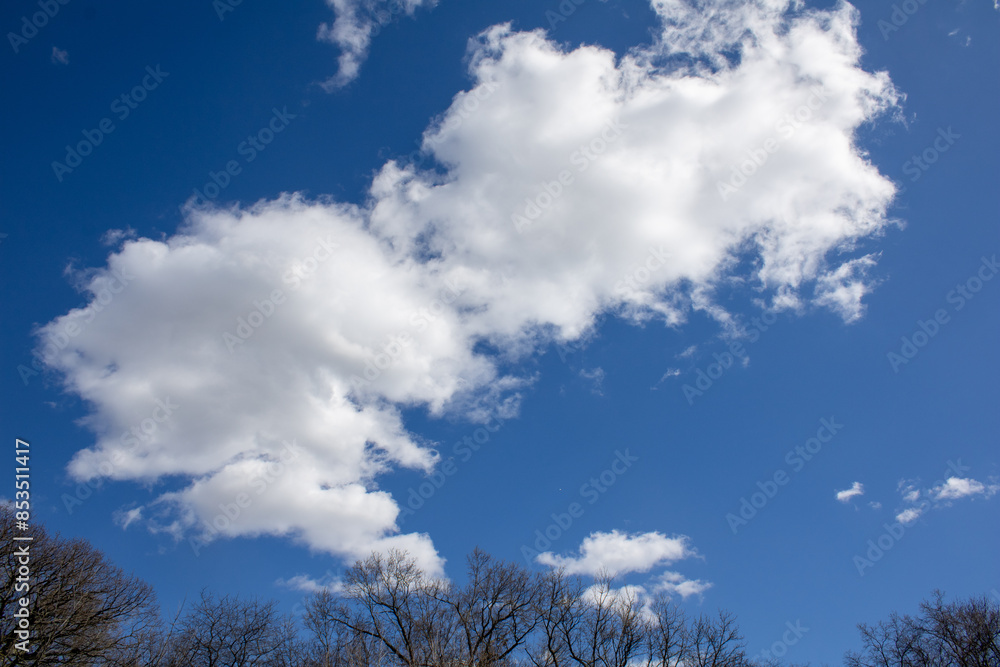 Clouds hovering above trees against a blue sky Clouds hovering above trees against a blue sky
