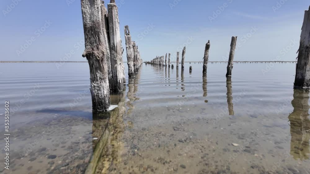 A row of wooden posts stand in the shallow water of a lake on a sunny day. The water is calm and clear, reflecting the sky and the posts. A row of wooden posts stand in the shallow water of a lake on a sunny day. The water is calm and clear, reflecting the sky and the posts.