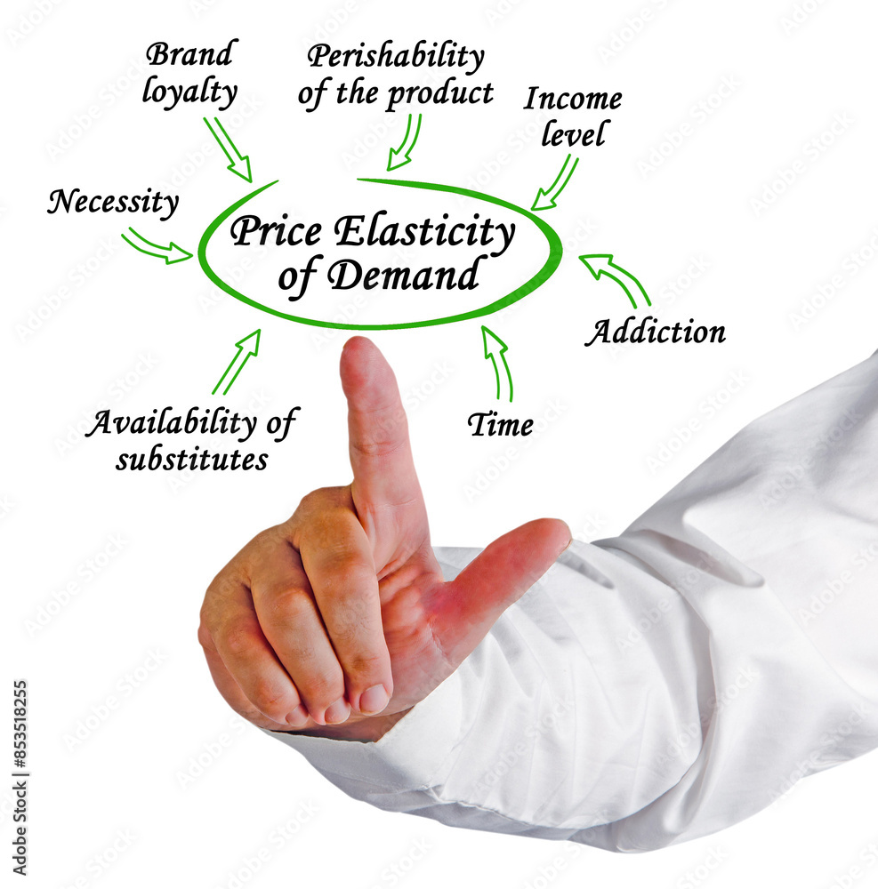 What Determines Price Elasticity of Demand What Determines Price Elasticity of Demand