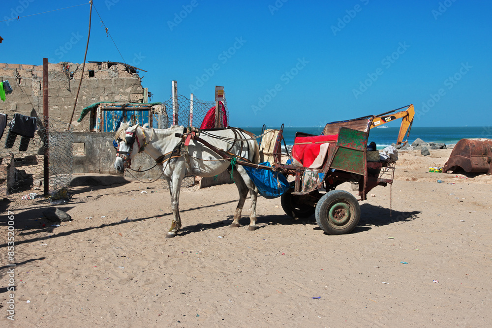Cart in Saint-Louis, Senegal, West Africa